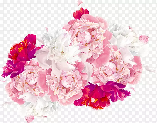 �ʻ滨��ʸ��ͼ-������