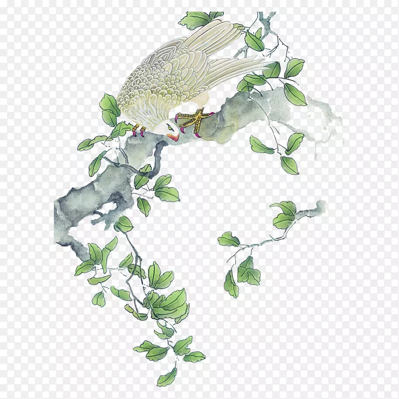 �ֻ�վ����֦�ϵ���ӥ-������