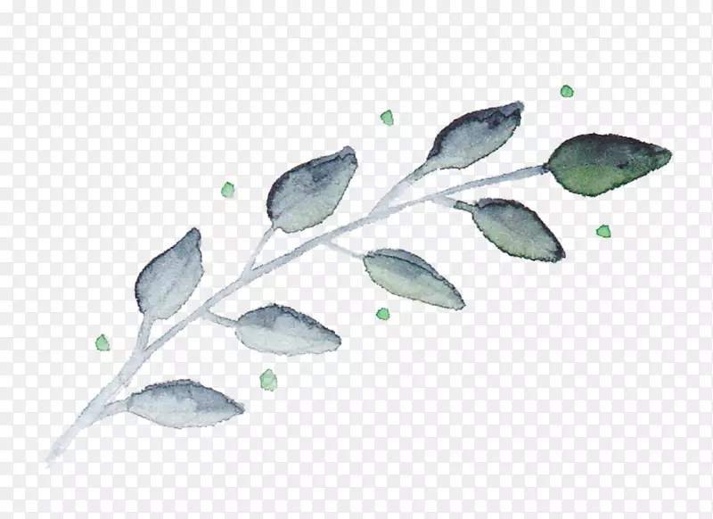 �ֻ�ˮī��֦-������