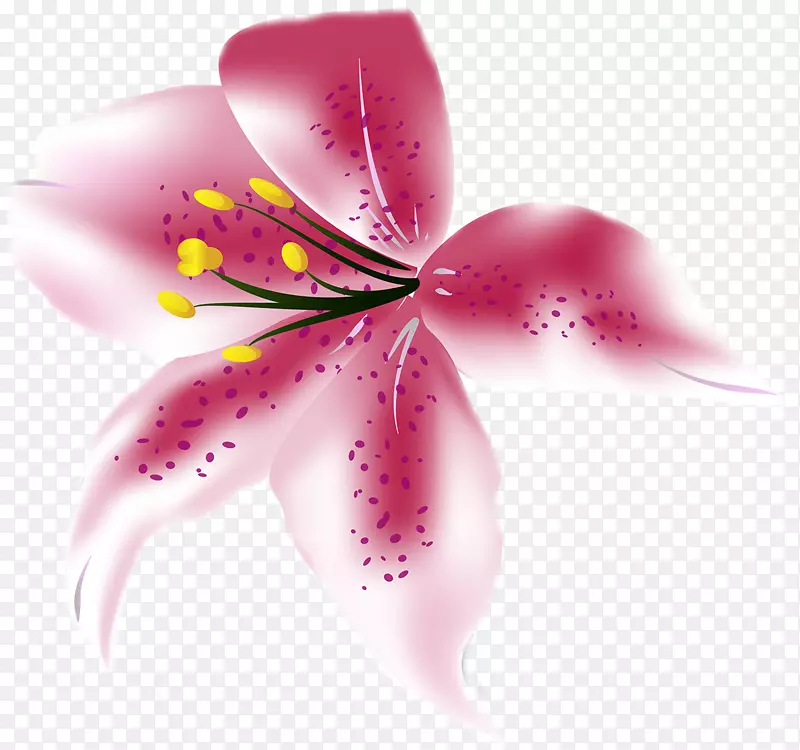 �ٺ�-������