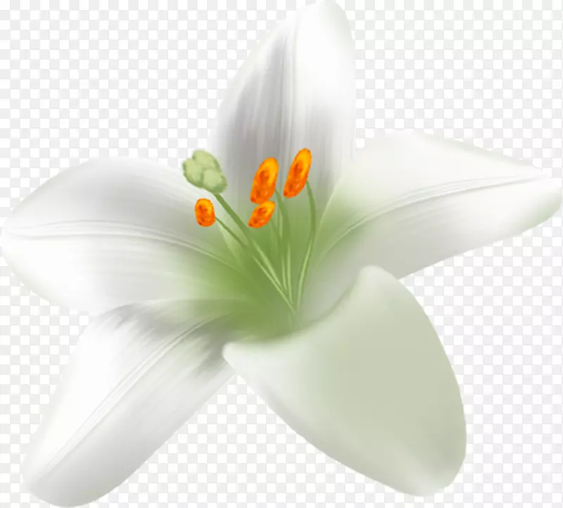 ����ֲ��ٺϻ���ٺϿưٺ�-������