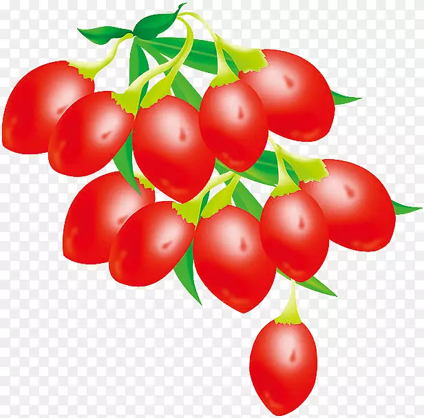 ��ɫ�ֻ����-������