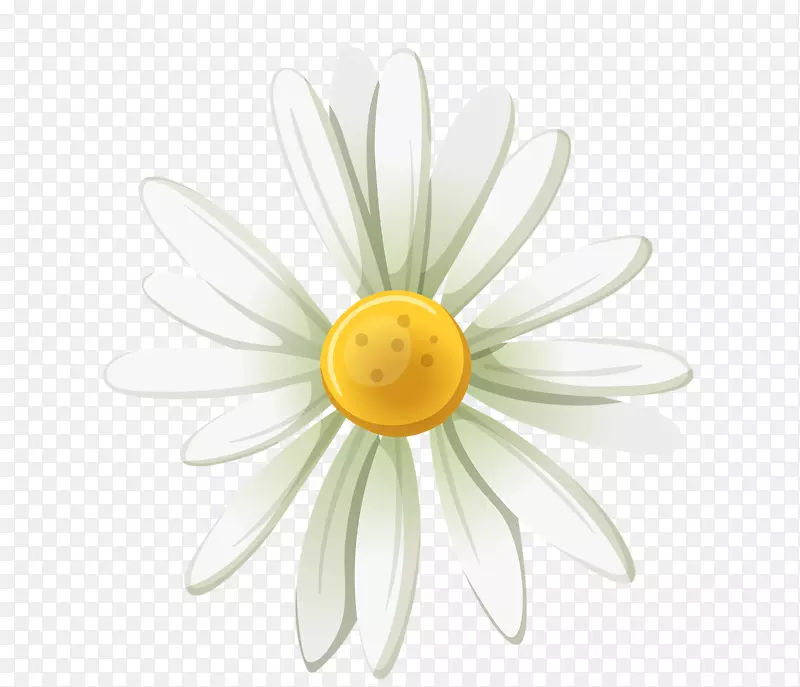 ��ɫ�ľջ�-������