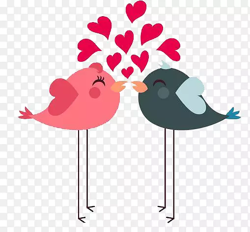 ��ͨ������-������