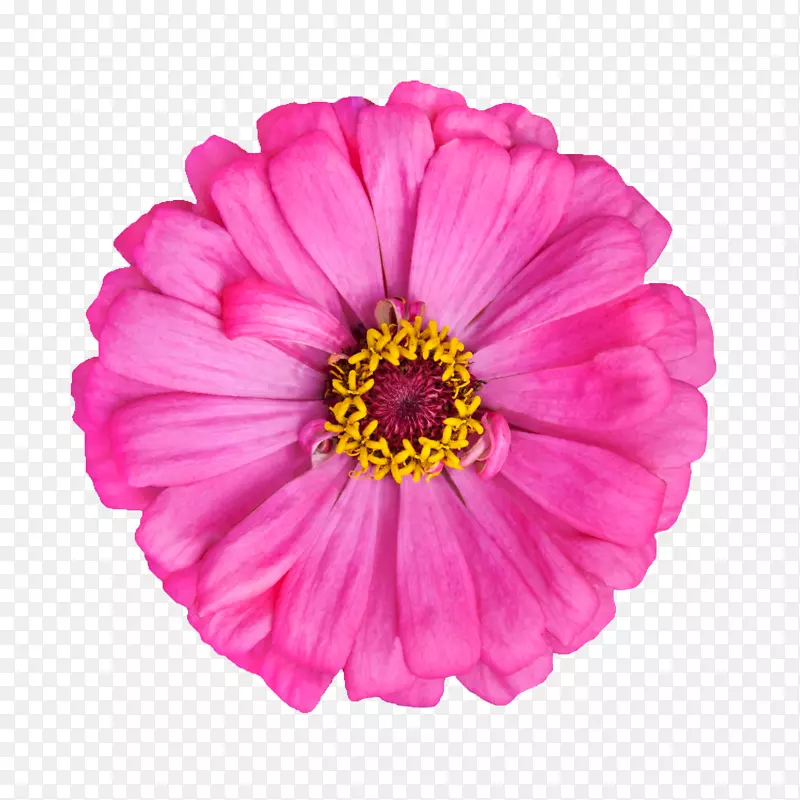 ֲ�ﻨ���زı����ز�-������