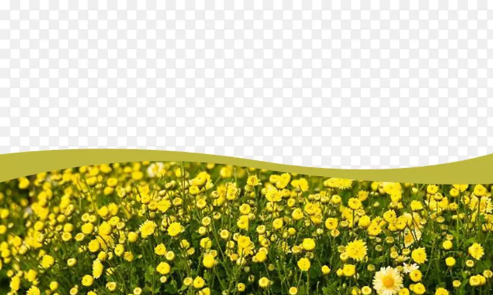 �ջ��׿��ز�-������