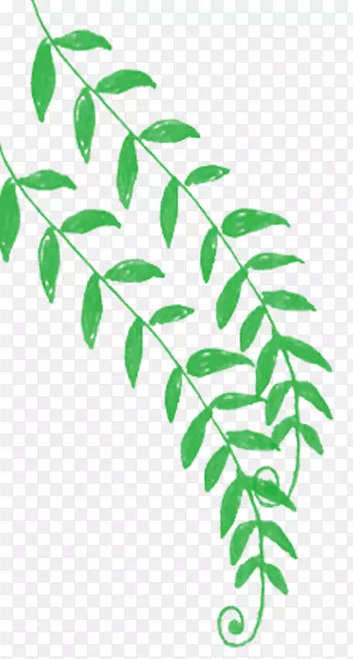 �ֻ�װ����Ҷ��֦�廭�ز�-������