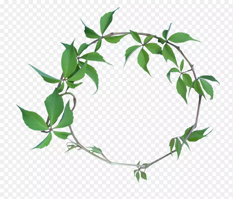 ֦ҶԲ��-������