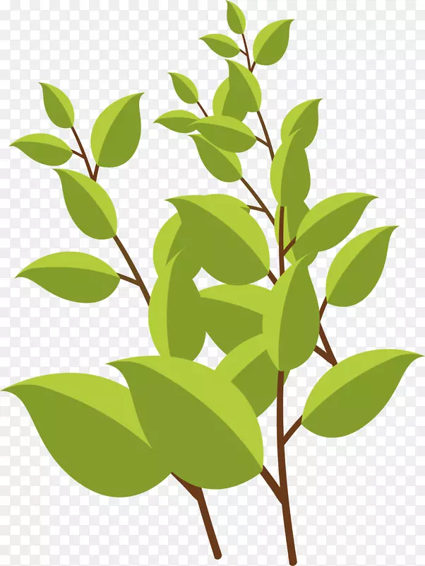 ��ͨ��֦ʸ��ͼ����-������