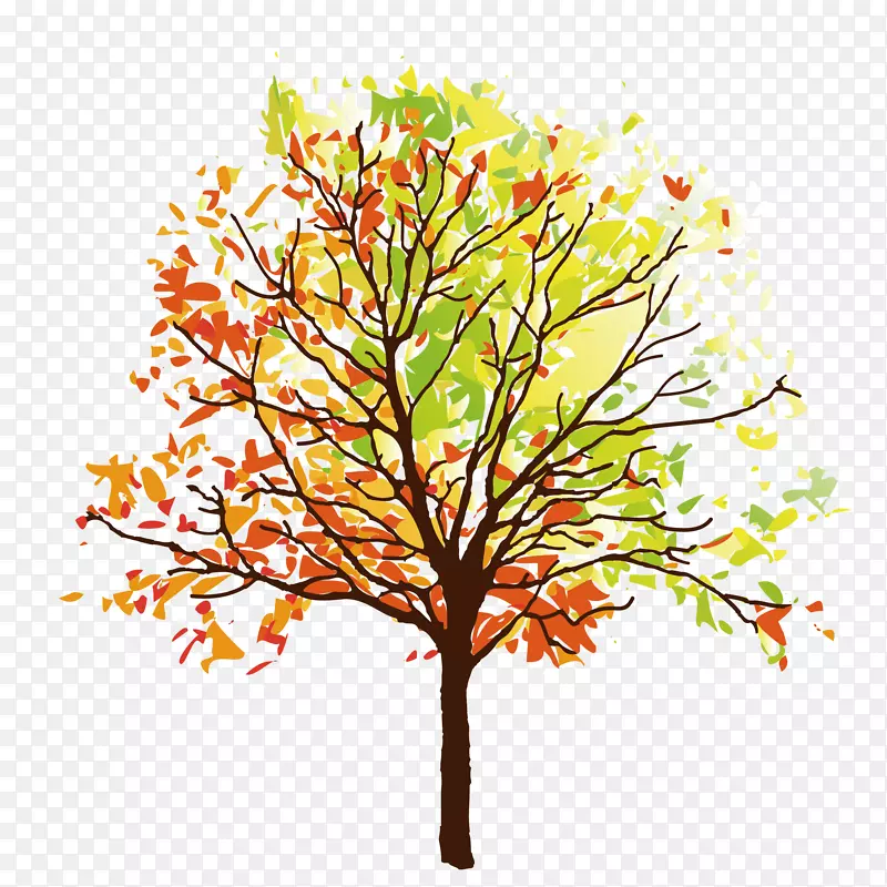 �ֻ濨ͨ��ɫ����-������