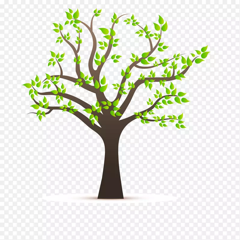 ��ͨ����ʸ��ͼ����-������