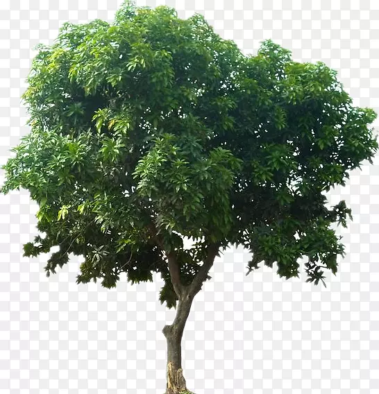 ����-������