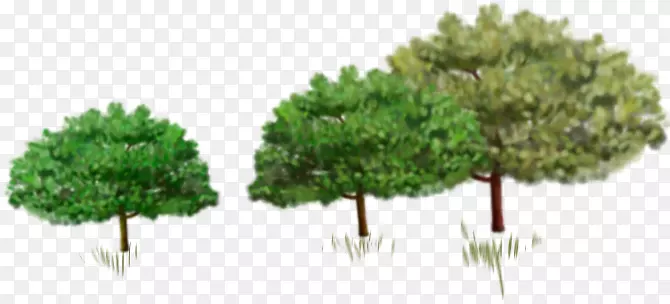 ïʢ�����޿򻭷羰-������