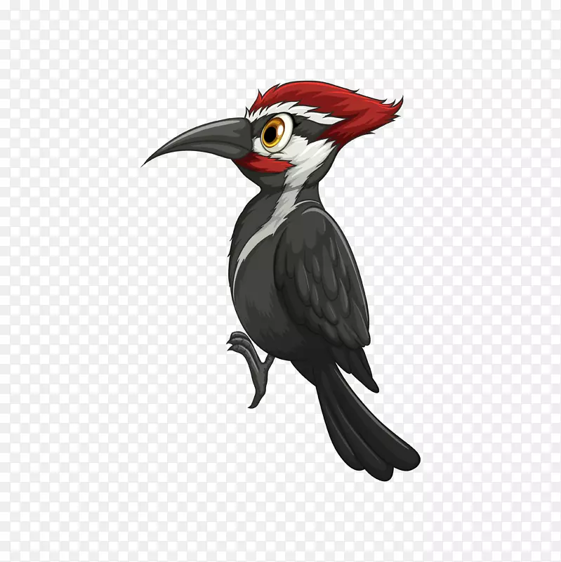 ��ͨ�ɰ�С����װ�ζ���ͷ��-������