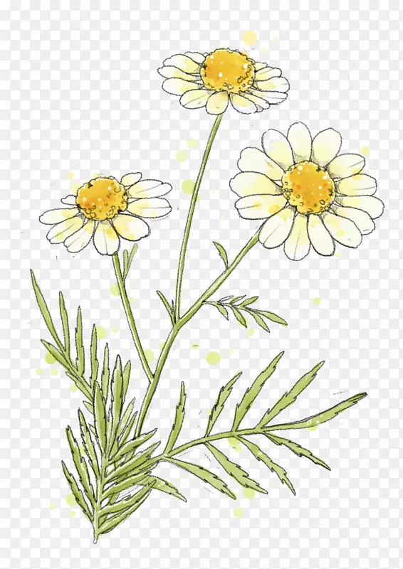 �ֻ�Ψ��С����-������