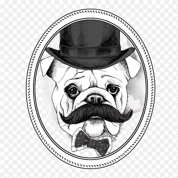 ��ͨ�ɰ��ֻ涯��-������