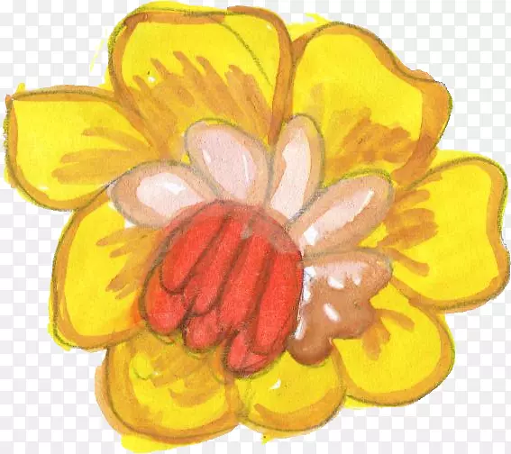 ˮ�ʻ�����-ˮ�ʻ���-������