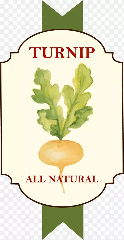 �ֻ���ɫ�����߲�ͼ��-������