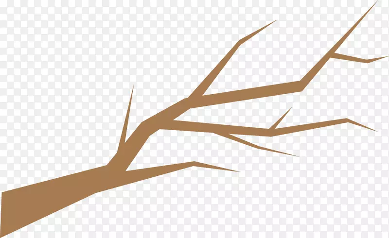 ��֦Ԫ��͸����-������