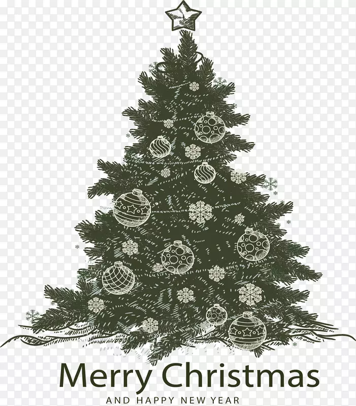 ���ŷ�ʥ����ʥ����-������