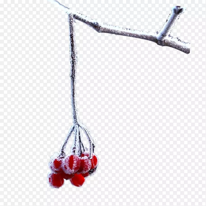 ˪��������ѩӣ����֦װ������-������