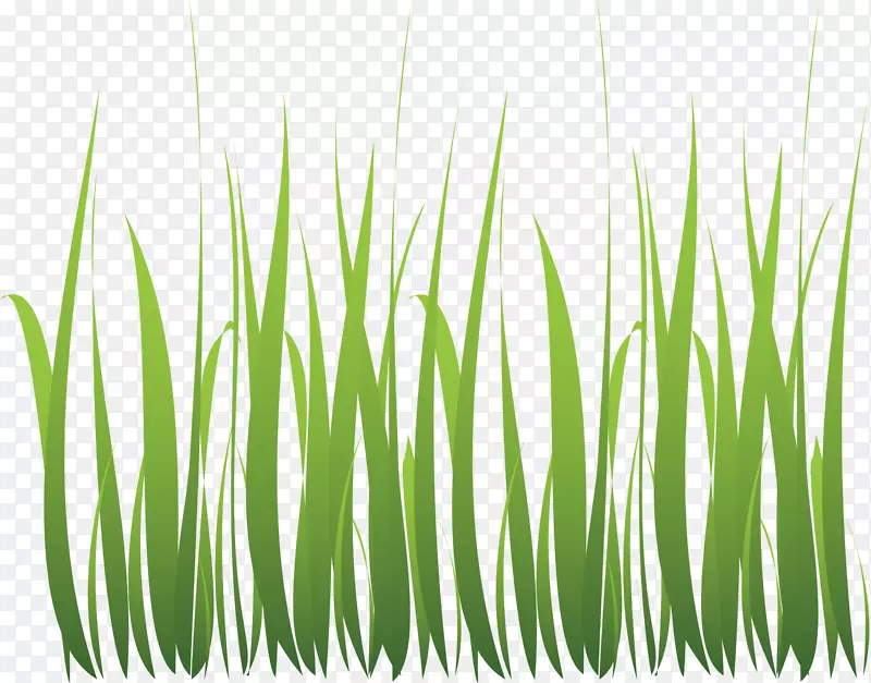 ������װ�μٻ��ٲ�-������