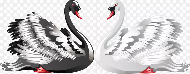 ʸ������ڰ����-������