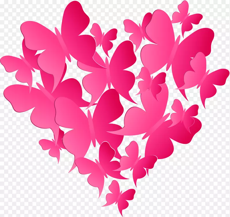 õ��찮�ĺ���-������