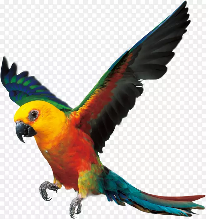 �ɰ����Ķ���-������