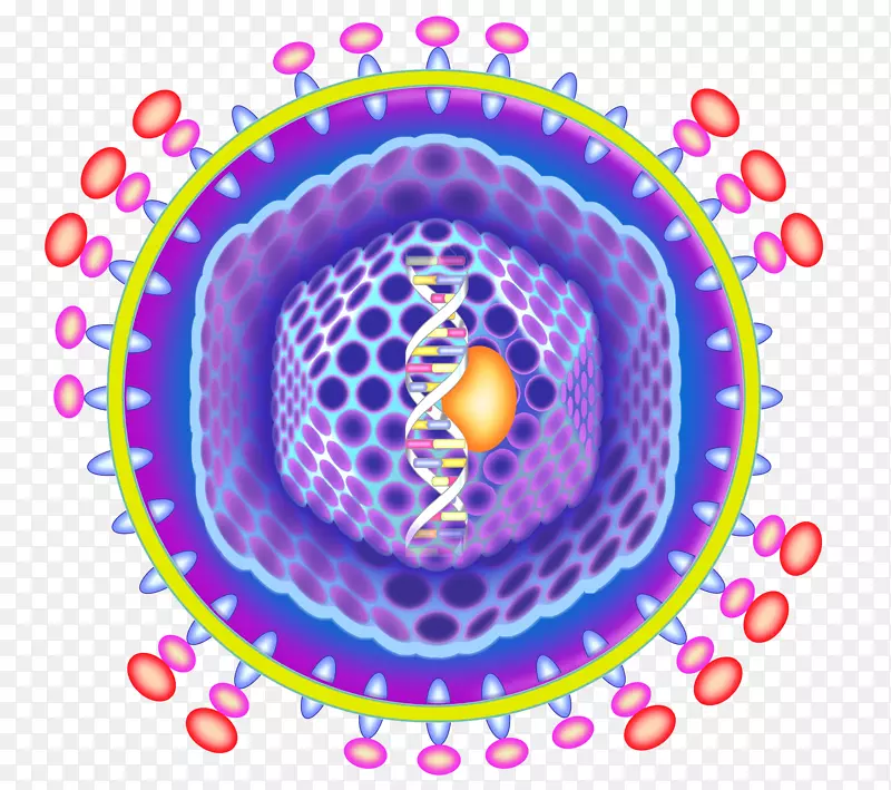 ����ϸ�������ѧʾ��ͼ-������