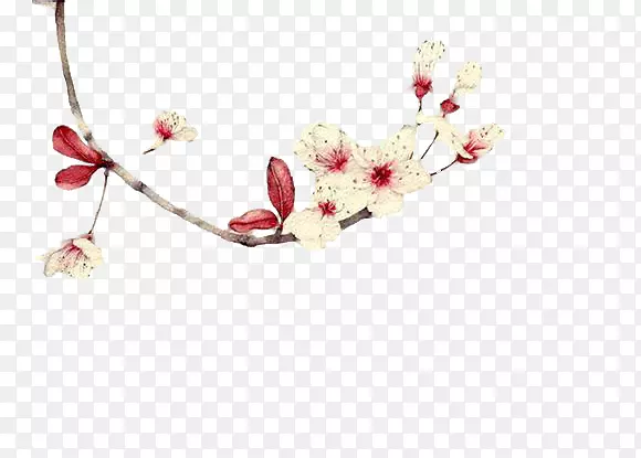 ��֦����-������