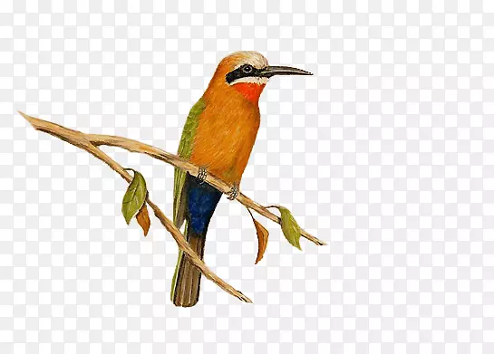 �ɰ��ŷ�С��-������