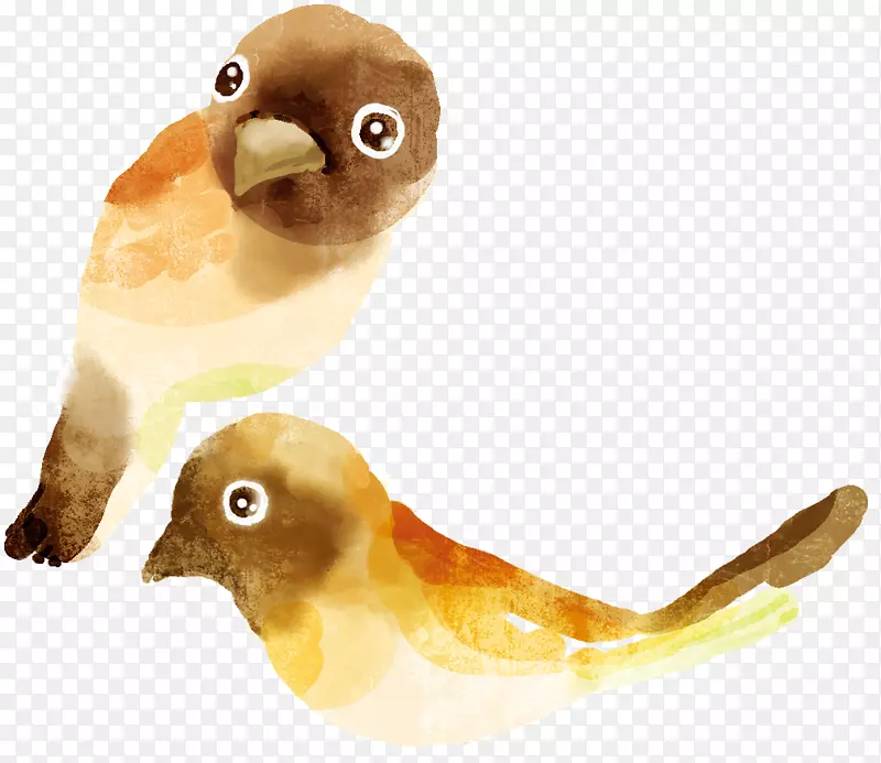 ˮ��С��-������