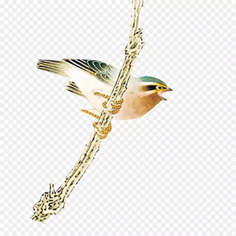 ��֦�ϵ�С��-������