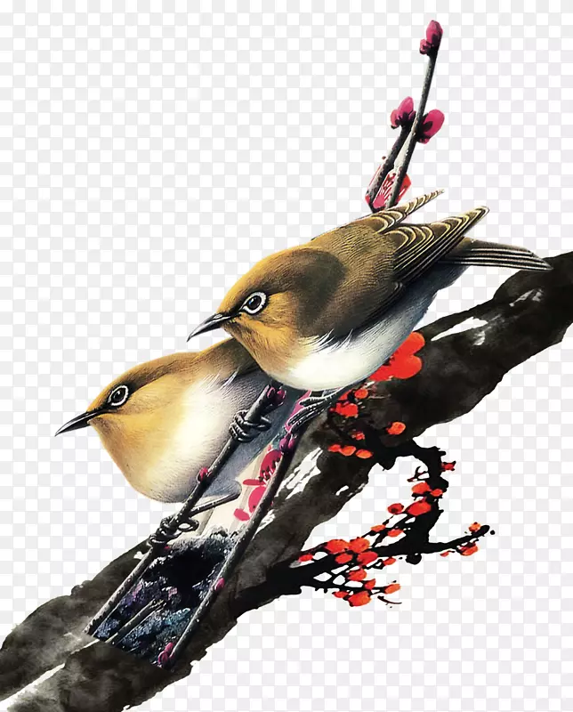 �ŷ���֦С��-������