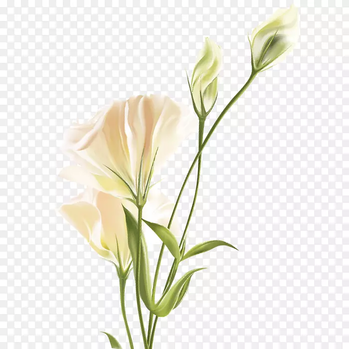 ��Ʒʵ��һ���������ף��-������