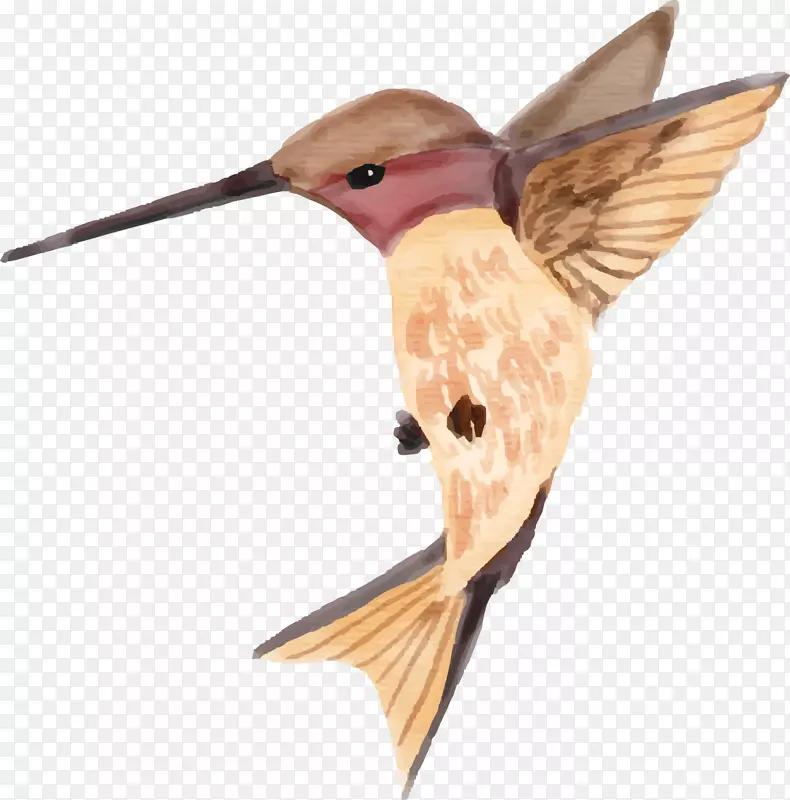 ˮ�ʶ����ɫ����-������