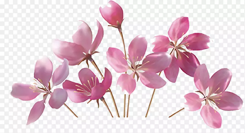 ��ɫ�ɻ����仨���ز�-������