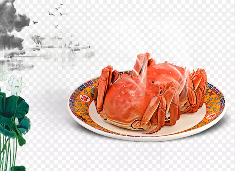 �зʳ��ŷ�-������