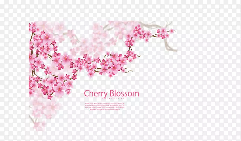 ������ɫӣ��-������