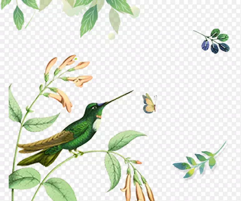 ��ٴ�����֦����е���-������