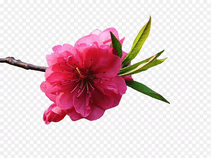 װ��ͼ��-������