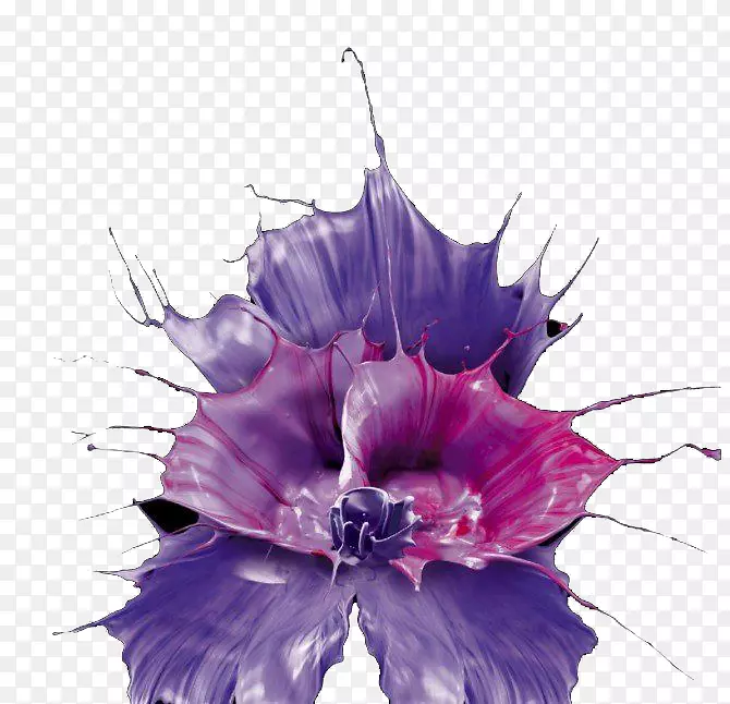 �����������-������