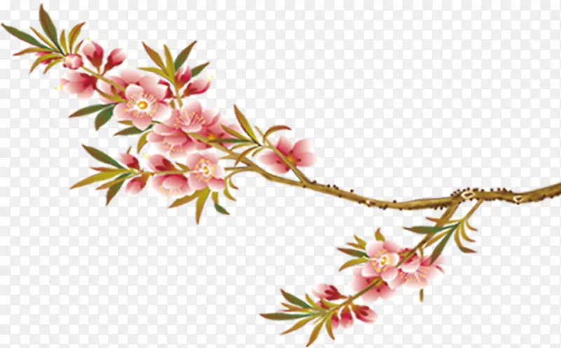 Ψ��������֦�����һ���Ҷ��֦-������