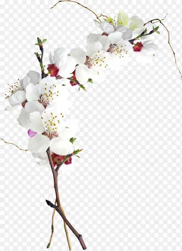 �һ�-������