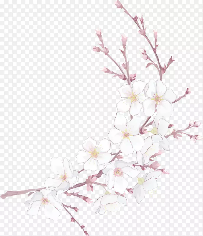 �ֻ�ۺ���֦�һ�-������