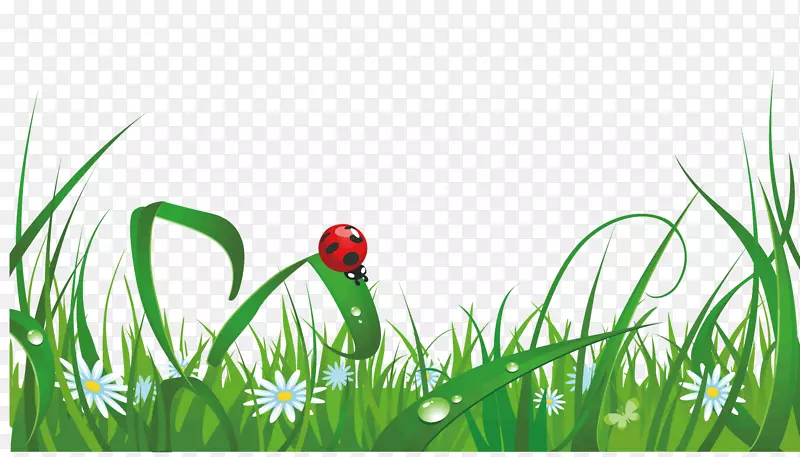 ��ɫ�Ĳݵ�-������