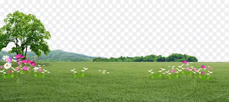 ��ԭ������-������