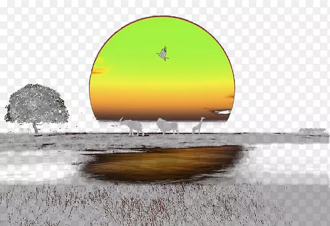 ��������Ϧ������-������