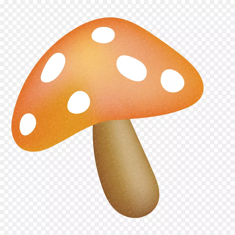 С���²廭�����ƿ�ͨĢ��-������